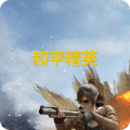 Game For Peace 和平精英 (CN)